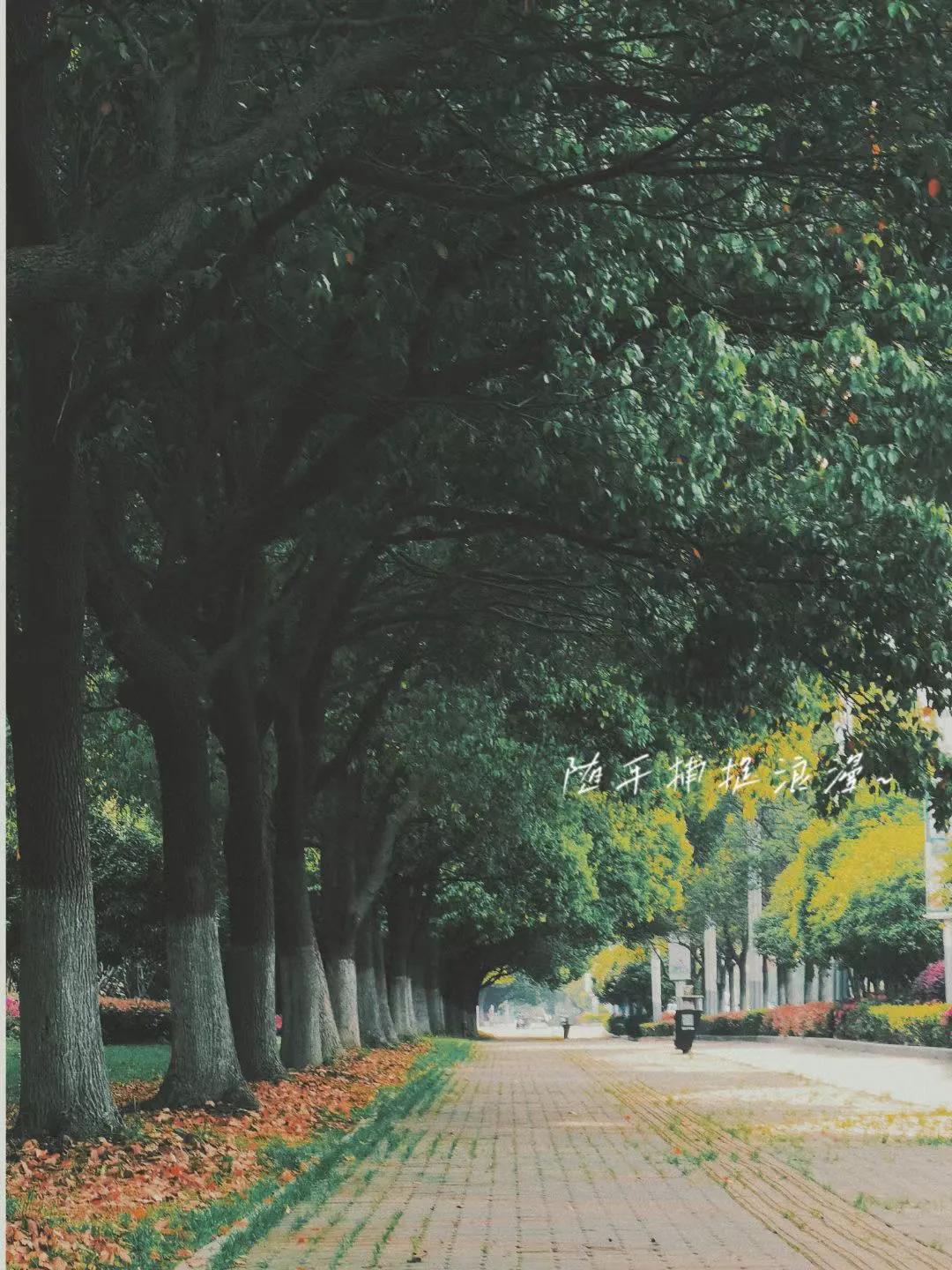 淘宝店铺如何营销推广引流,淘宝店铺引流推广运营模式有哪些