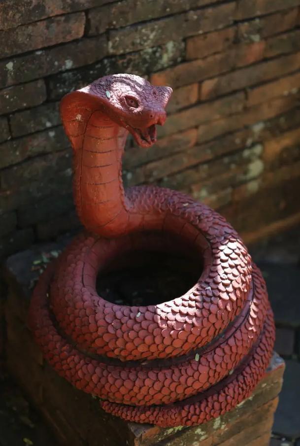 与蛇同吃同住？“中国第一蛇村”养300万条蛇，蛇王靠它收入千万