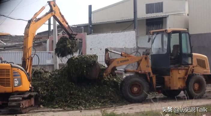 315之前，腌菜厂大汉竟然练成了“金刚脚”，“神药”使老人疯狂