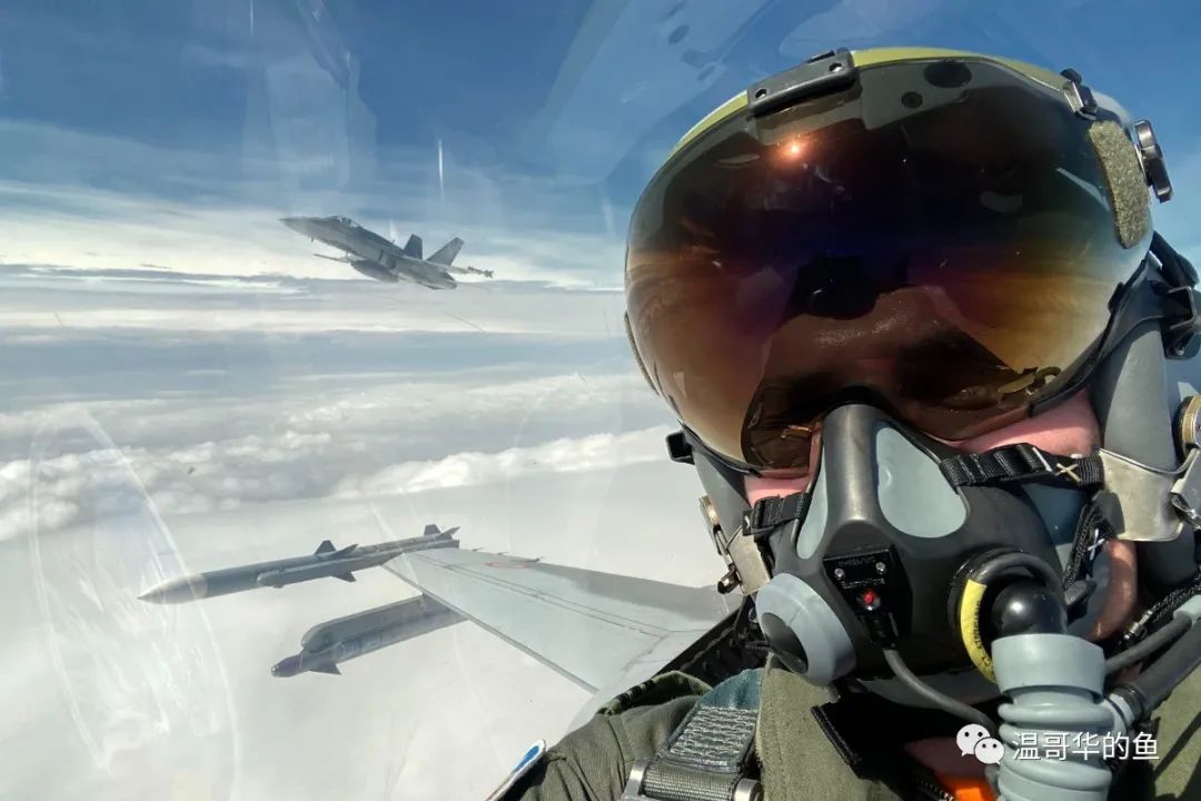 美国在北约部署兵力,北约成员国全部兵力