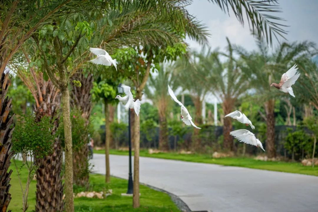 清远温泉民宿推荐,清迈温泉民宿