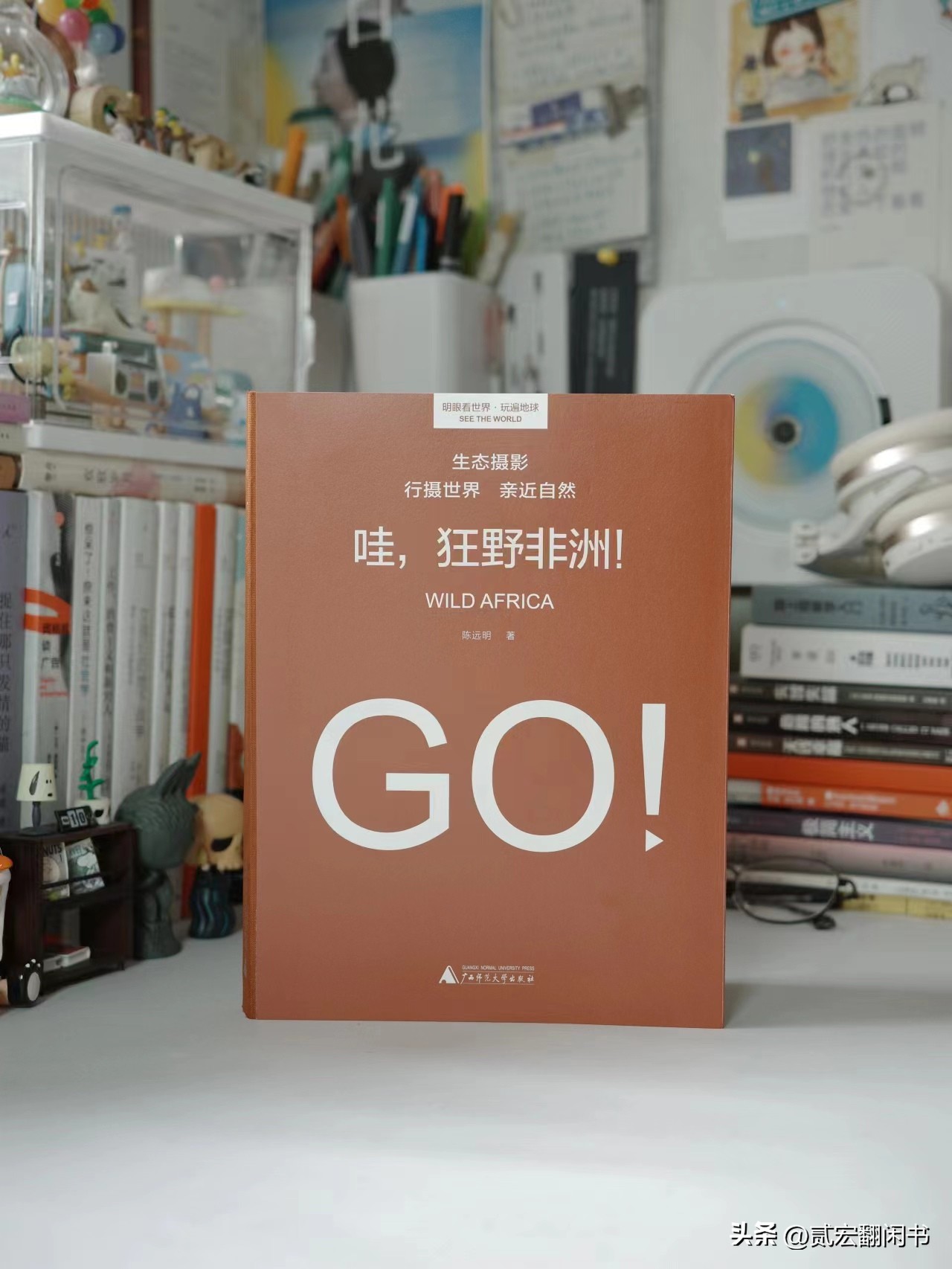 好想去非洲看动物大迁徙呀!先靠这书解馋吧