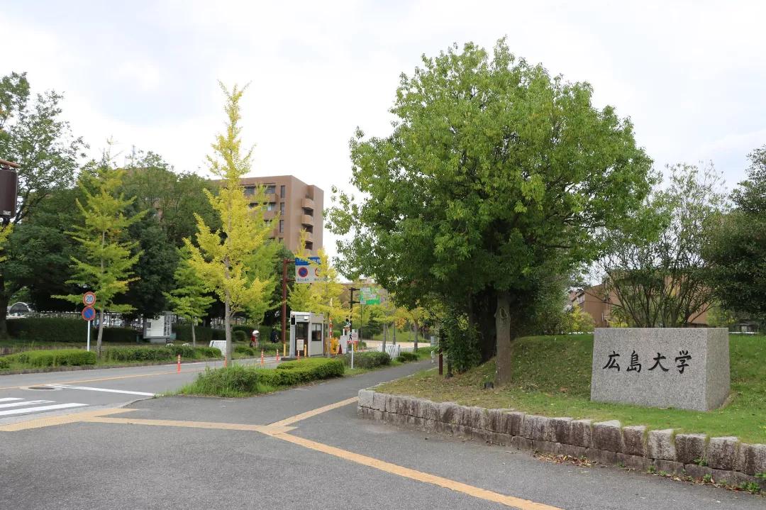 日本留学sgu专业,日本留学sgu本科