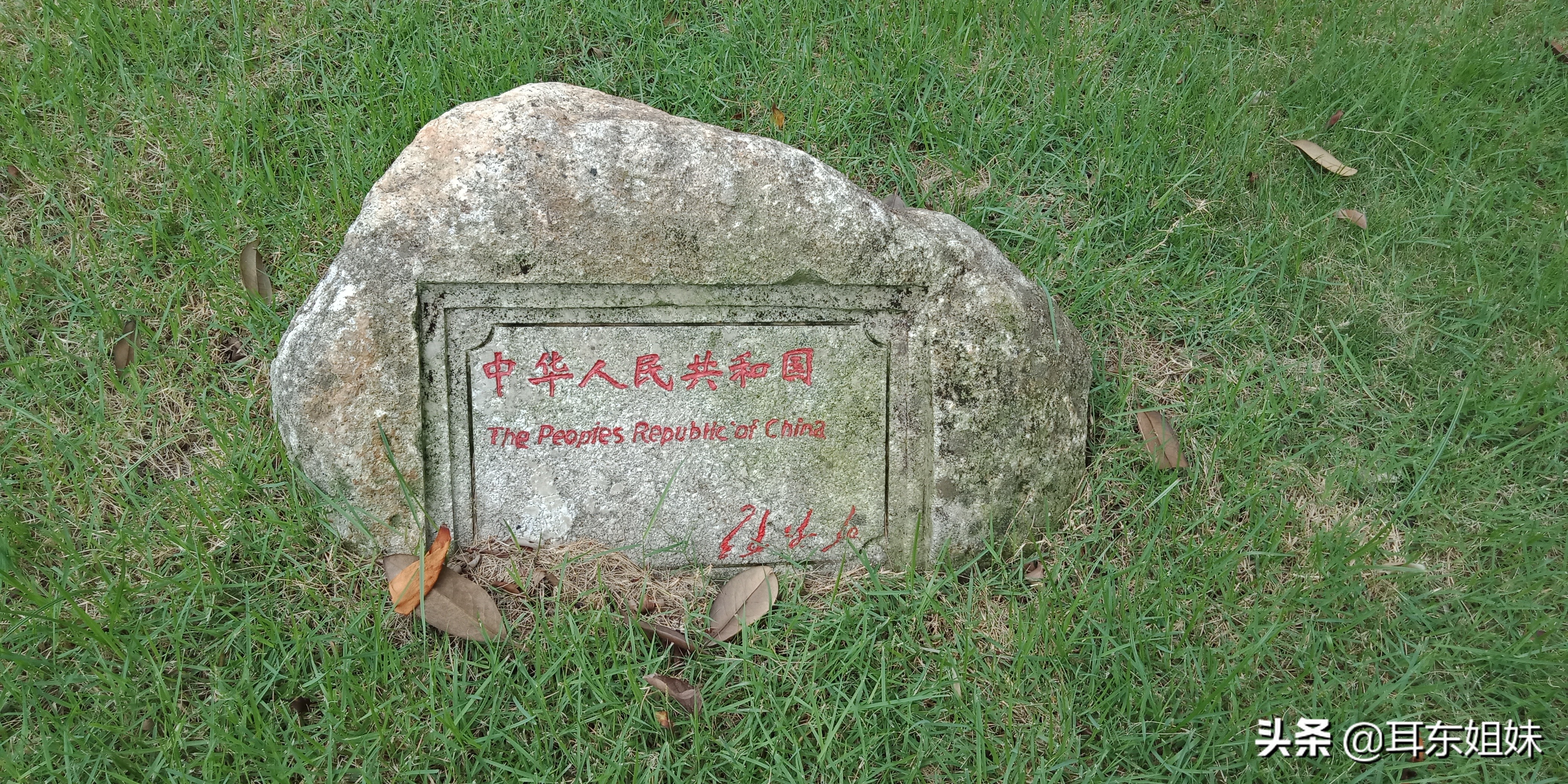 佛山公园里的荷花已悄然绽放,佛山人去旅游