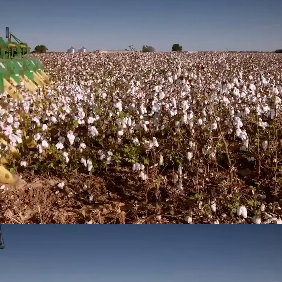 看懂衣服洗涤标识,买衣服看水洗标有用吗