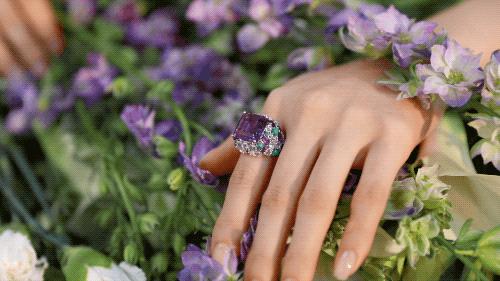 宠妻送百亿？名门贵族都执迷的高珠究竟什么样？