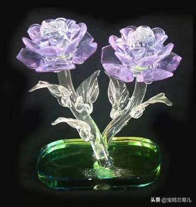 漂亮又特别的玫瑰花图片,特别漂亮的彩色玫瑰花图片