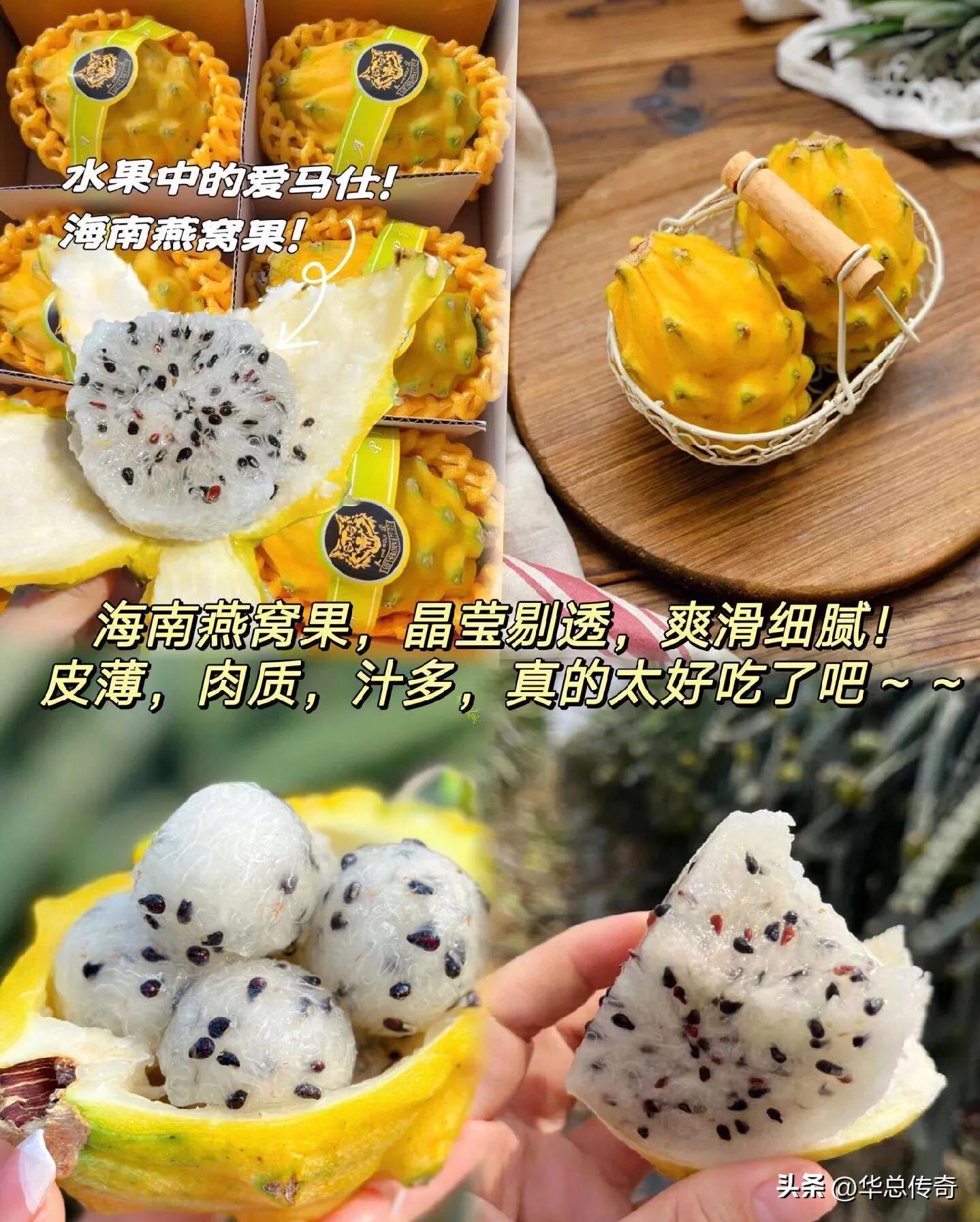 海南的蔬菜水果为什么贵,海南省哪个市的水果最便宜