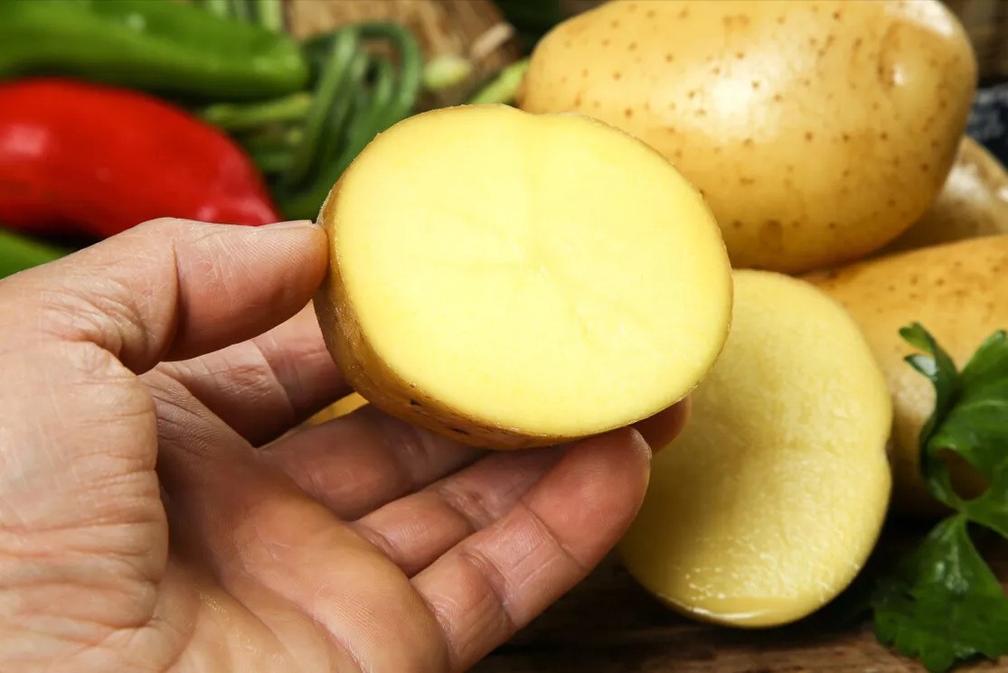 哪里产的土豆最好吃,土豆种产地最好地方是哪