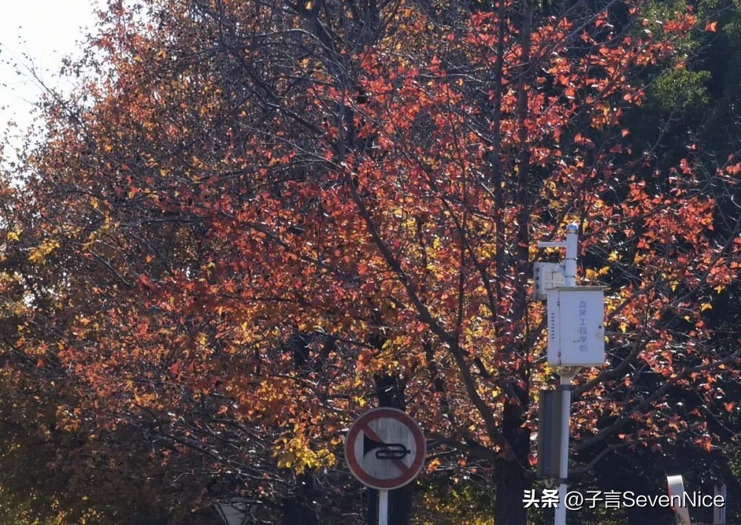 后悔没考上大学怎么补救,南昌工程学院值得上吗