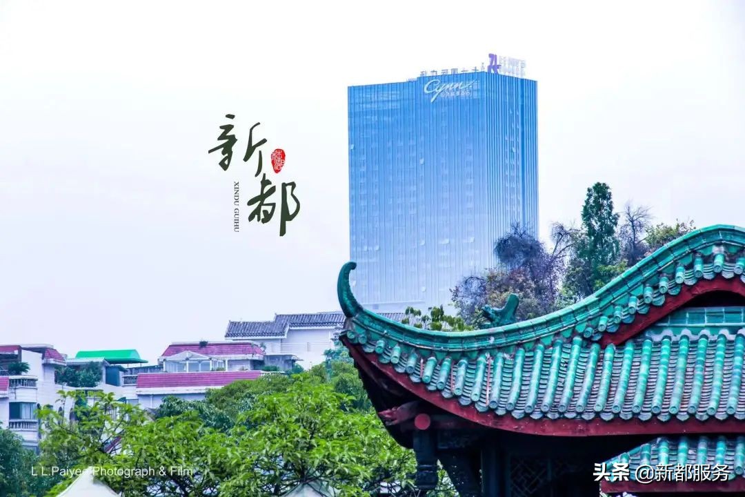 新都发展最好的地方,新都什么路练车比较合适