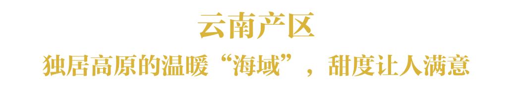 现在为什么菠萝很少凤梨很多,市场上的菠萝和凤梨怎么区分