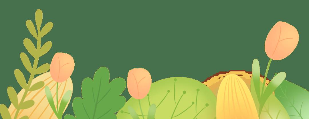 宝宝学走路有什么方法,宝宝学走路的方法有哪些