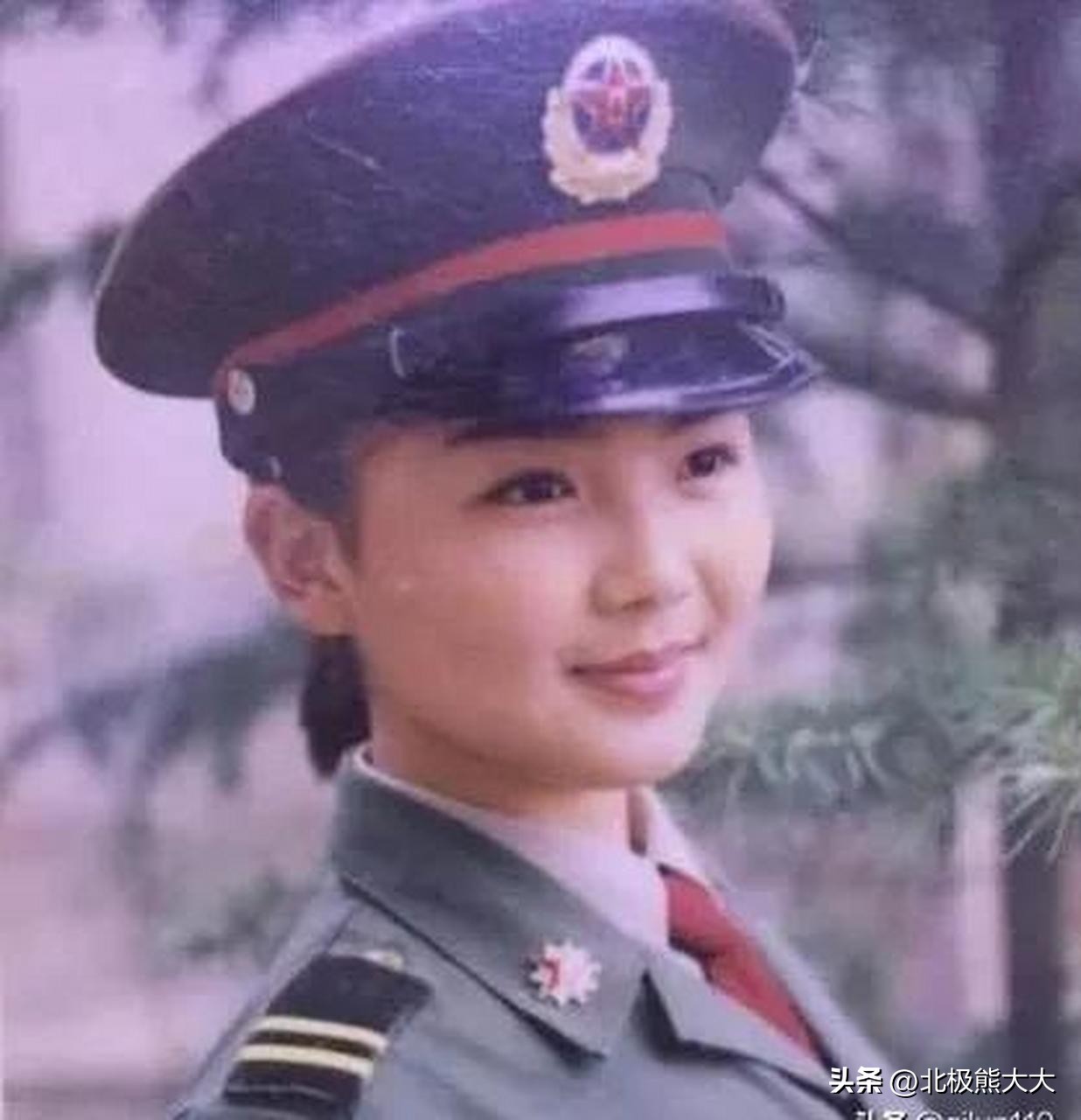 从贤妻到女强人刘涛都经历了什么,贤妻刘涛真实身份