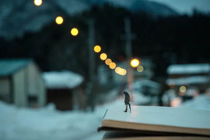 这写的……不就是我吗