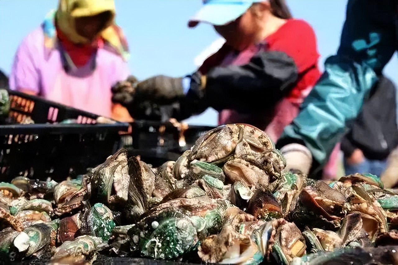 长岛都有哪些风景,人间仙境山东长岛