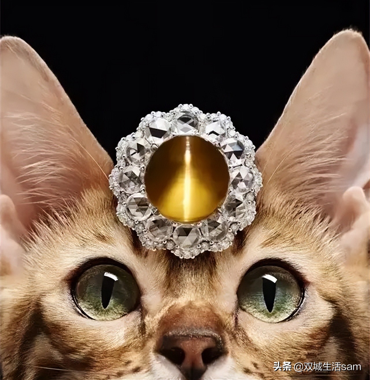 珠宝宝石那些事,宝石事件