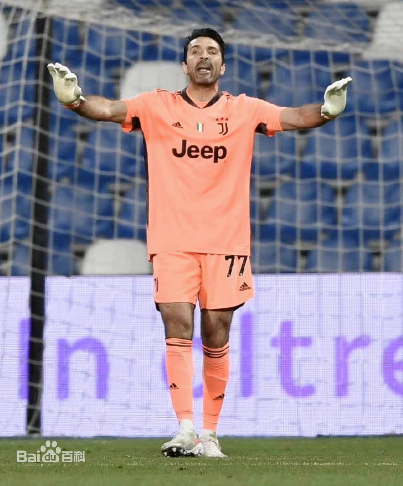 小将布冯图片,小将布冯经典视频