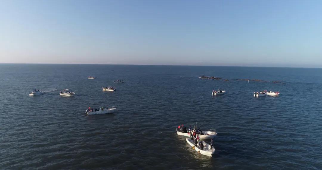 乒乓球上创意彩绘,乒乓创意绘画大全