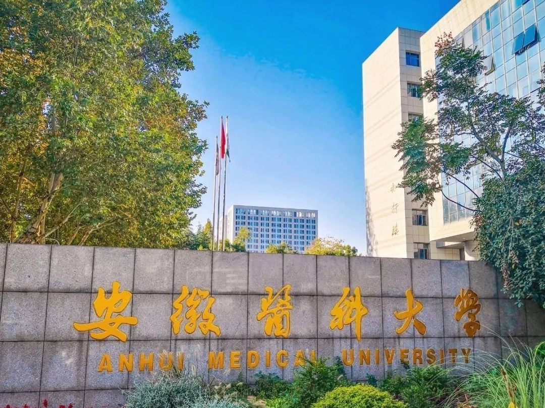 安徽各市医院床位排名,安徽医科大学第二附属医院床位数