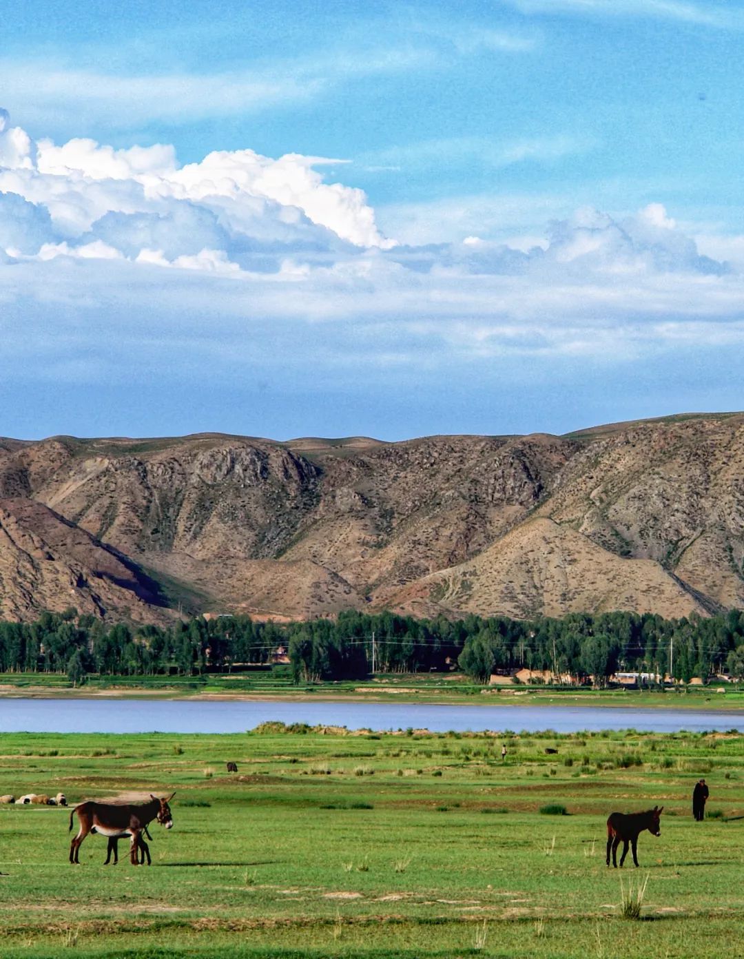 甘肃张掖有多少极致风光,甘肃张掖城市风光