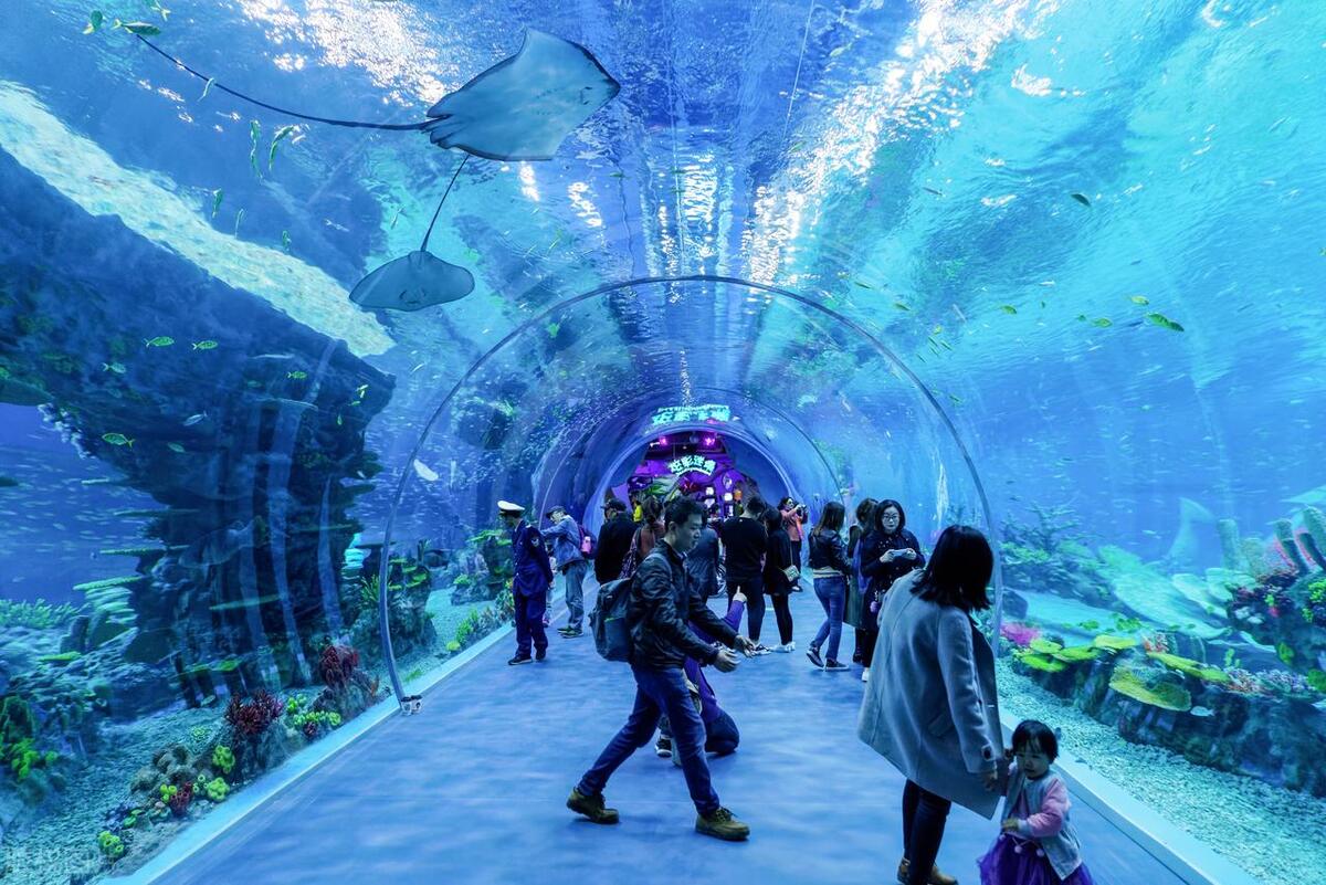 上海十大最好玩的景点,上海十大必去红色景点