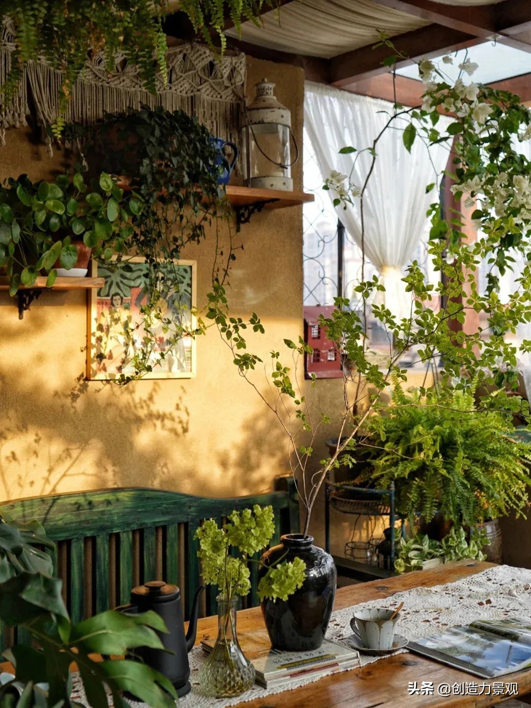 一花一草一世界原创花草,一花一草一世界花草之美