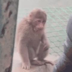 肯德基麦当劳送玩具的套餐,麦当劳六一玩具有哪些