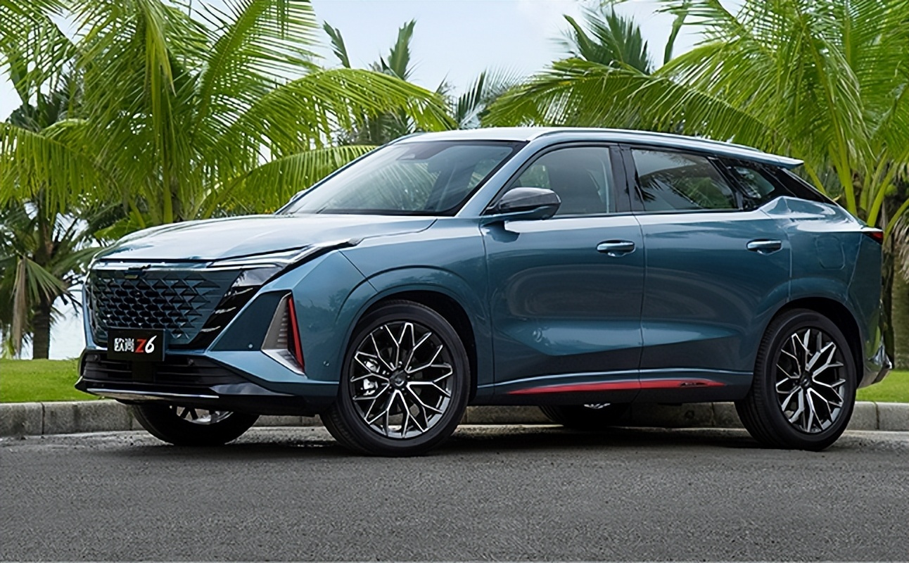 新手买车详细解答注意事项,新手买车必看注意事项