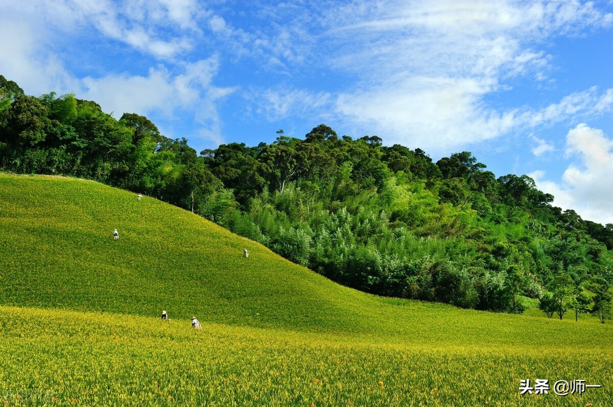 裸猿《道德篇》——自然•人类•科学(作者:詹克明)