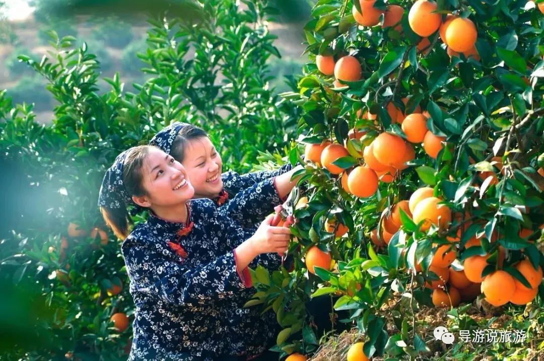 江西赣州安远三百山风景区,赣州市安远三百山景区爆款视频