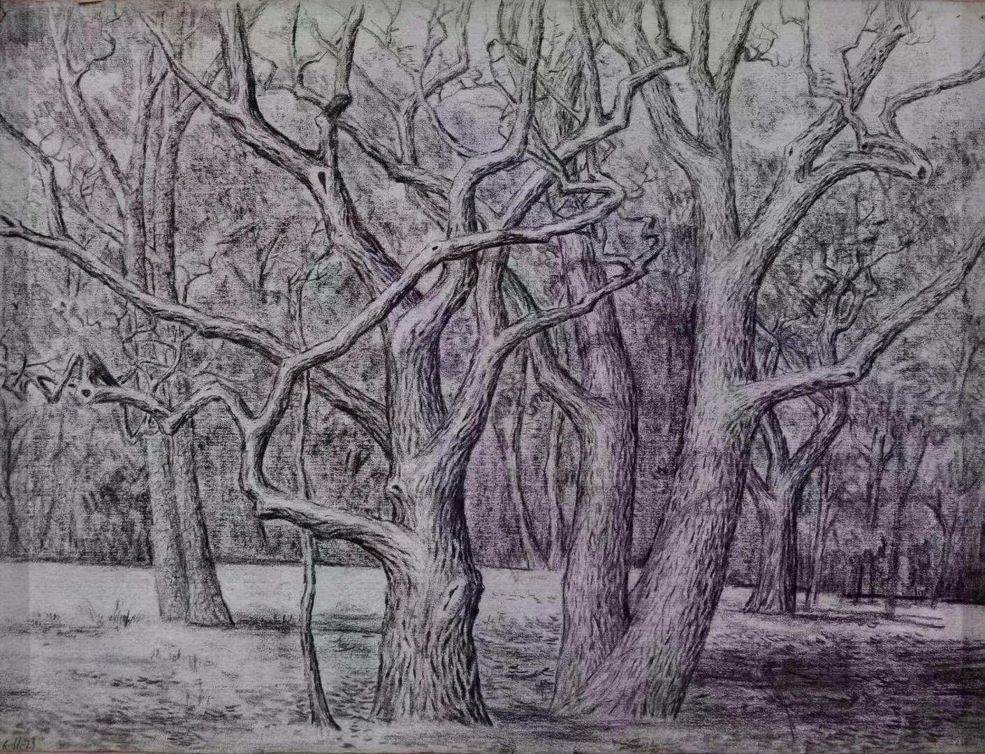 肖景志评论家,肖景志油画作品