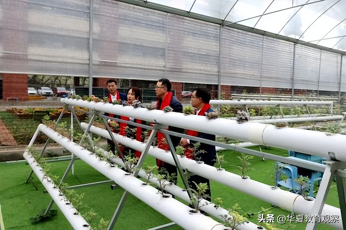 佛山联和吴汉小学电话,南海区联和吴汉小学