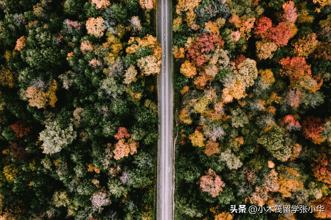 英国谢菲尔德大学是世界名校吗,英国谢菲尔德哈勒姆大学位置