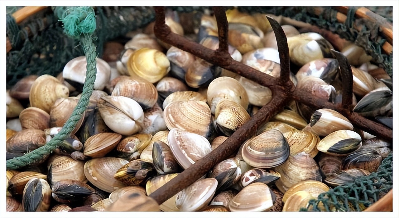 江苏南通小吃特产,南通有哪些特色小吃早餐和面点