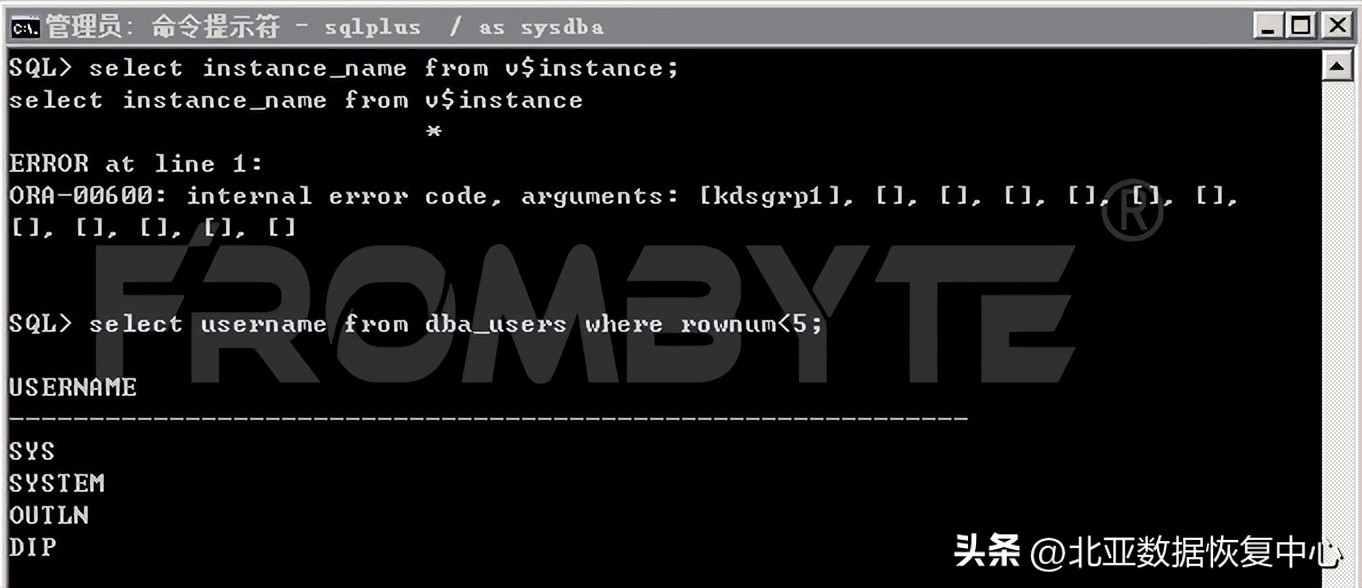 数据库数据恢复-Oracle数据库文件损坏且无备份的数据恢复案例