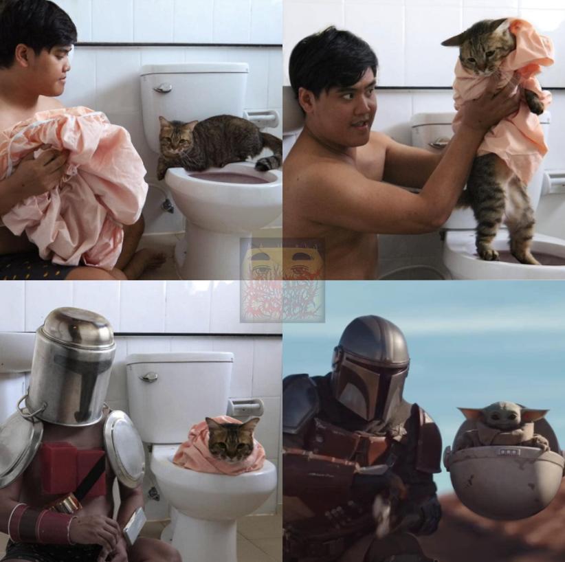 哈哈哈这些猫咪cospaly好怪，再看一眼，还是好怪