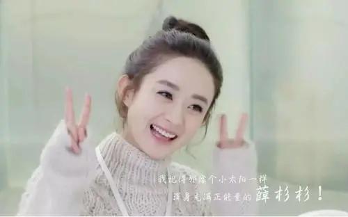 赵丽颖入股几家公司一年赚多少,赵丽颖拥有的公司都有哪些