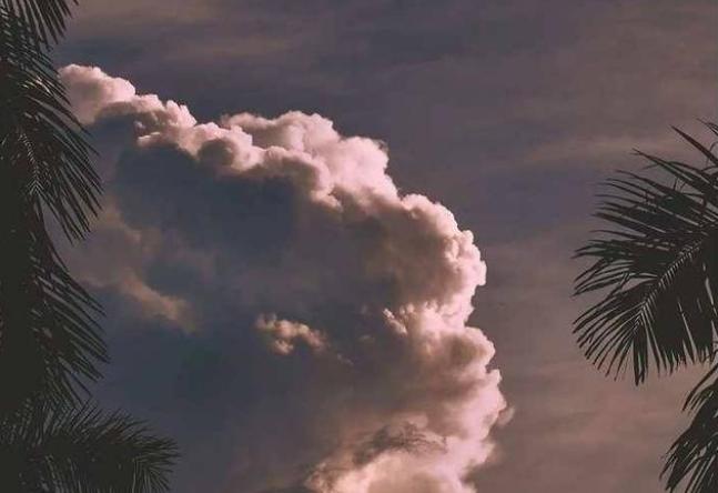 关于顾湘文案 (顾湘文案)