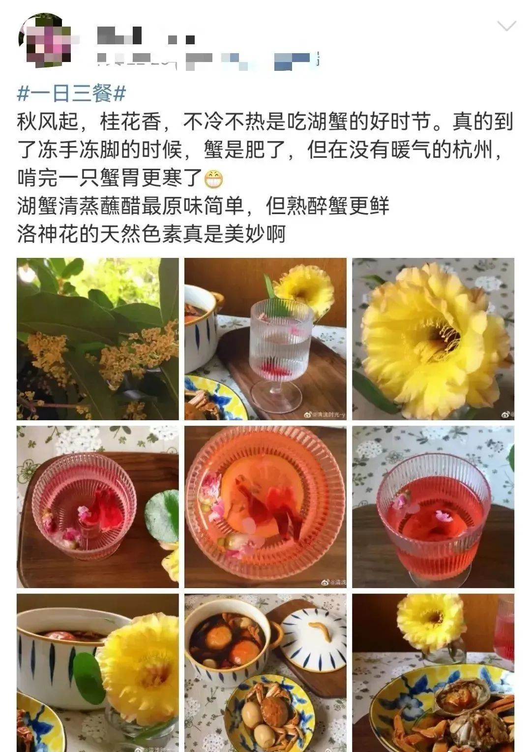 大闸蟹攻略带你品味大闸蟹,哪里大闸蟹可以媲美阳澄湖大闸蟹