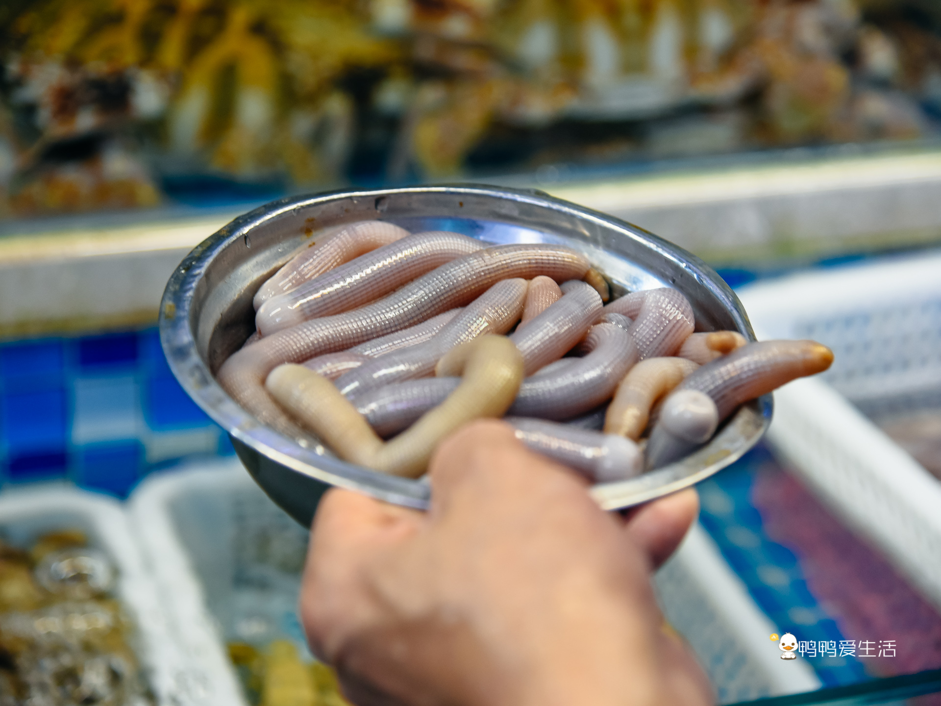 老厦门人都知道的四里建兴，开业近40年，红花蟹还能一蟹六吃