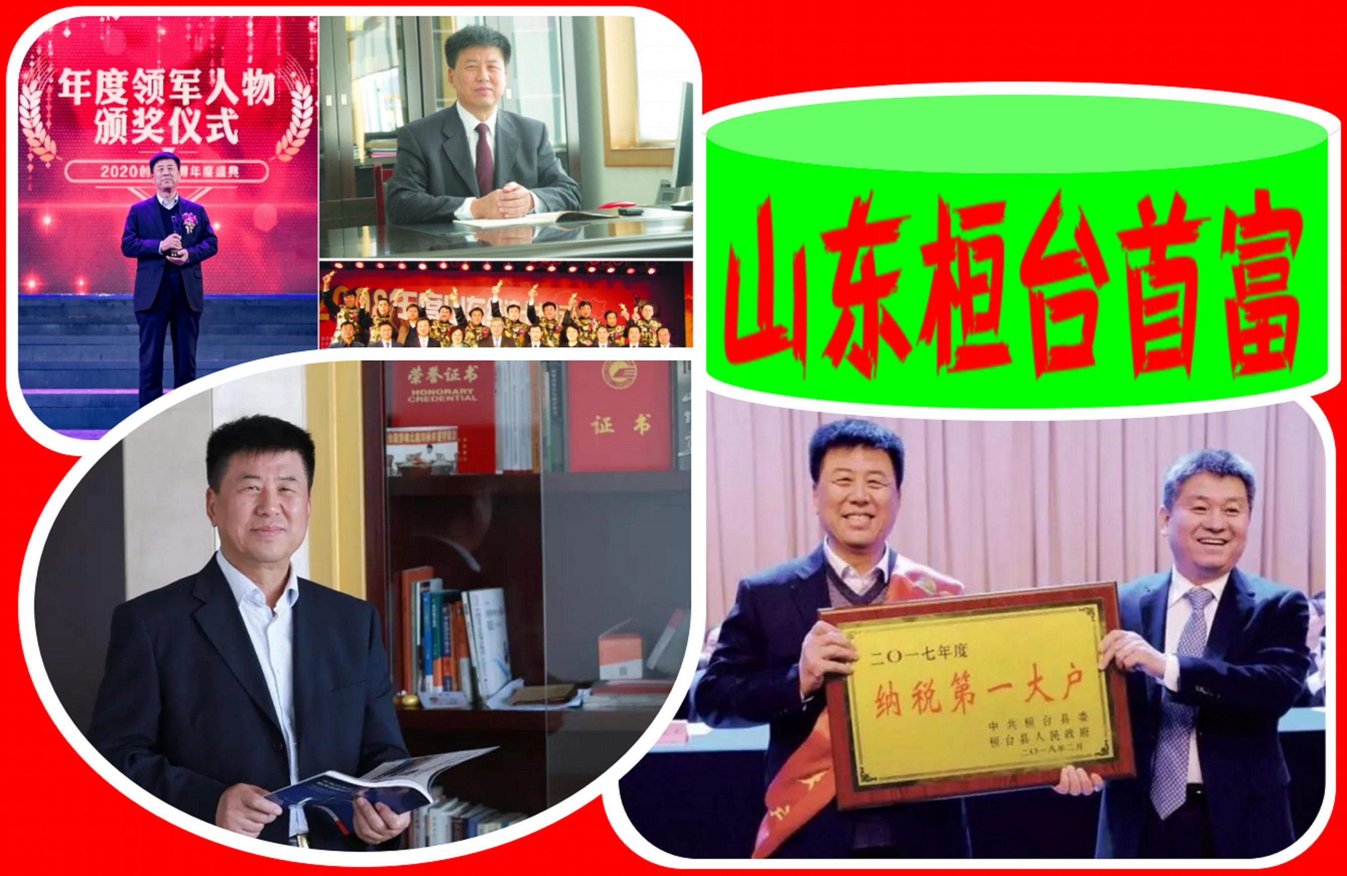 2019山东桓台500强企业,桓台500强民营企业