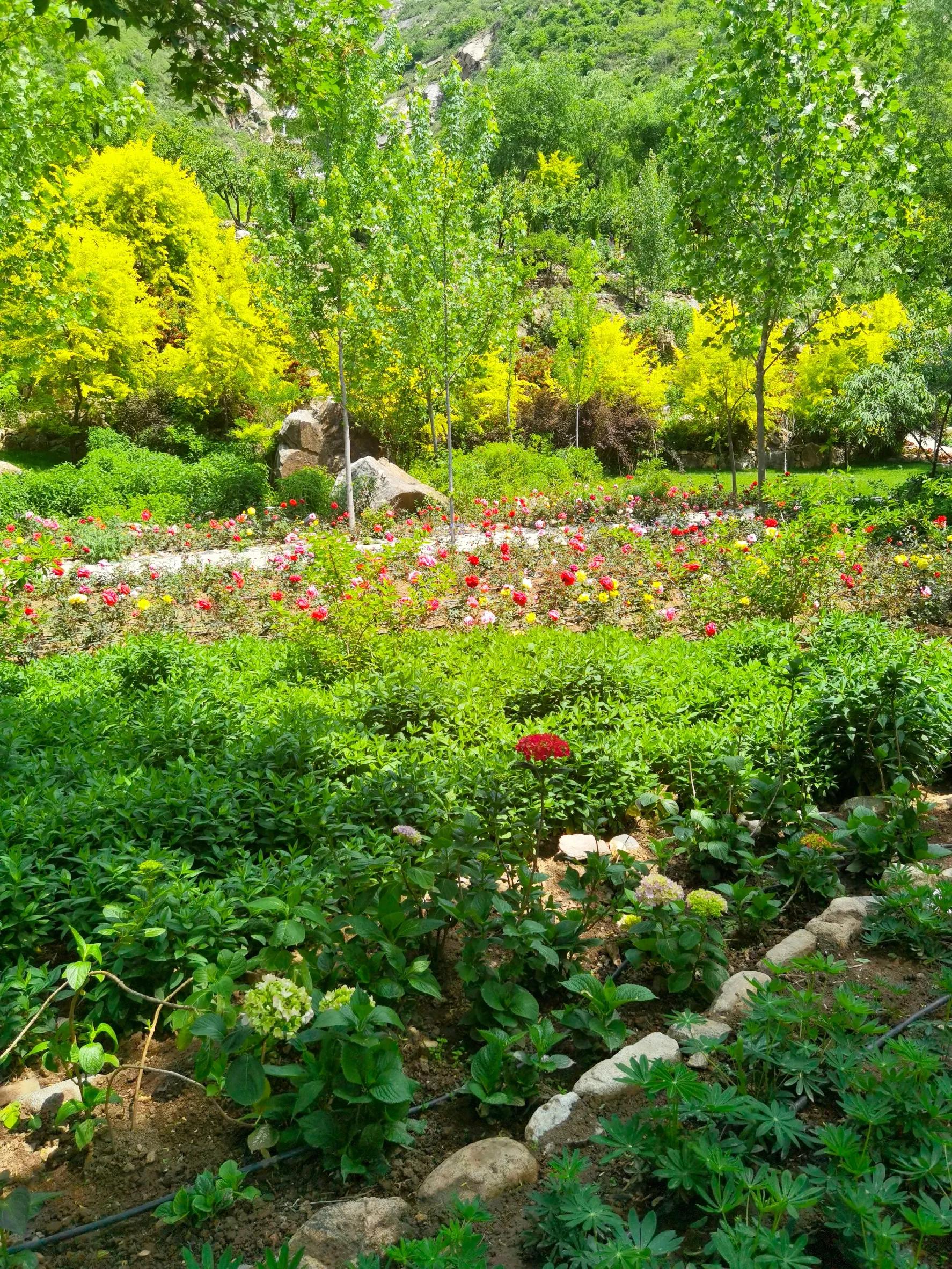 灵寿漫山花溪谷休闲好去处,灵寿花溪谷旅游景区在哪里