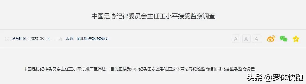足协王小平判罚,足协王小平接受调查
