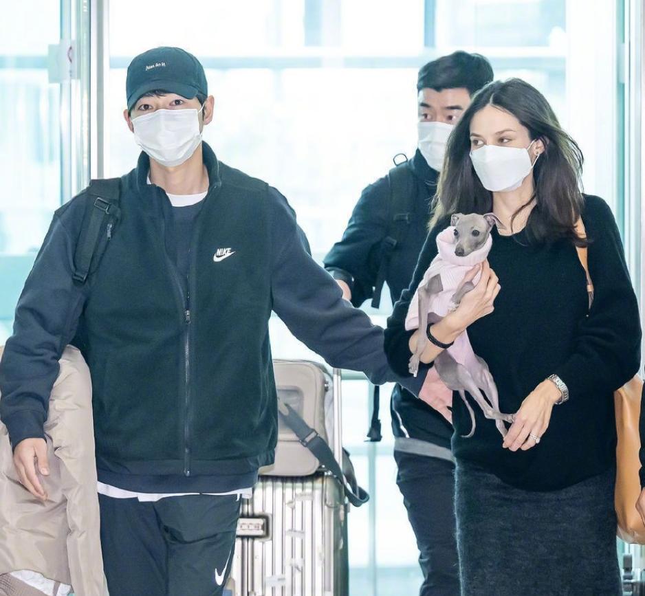 官宣恋情被骂怎么办,官宣恋情真的好吗