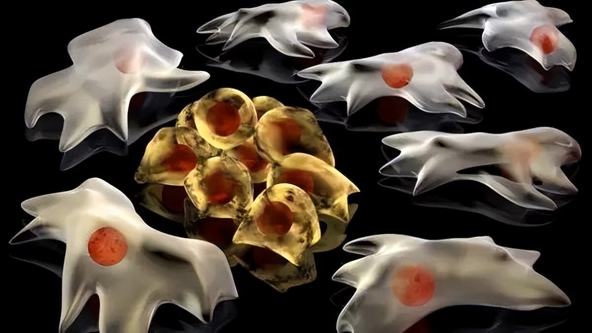 石墨和碳素对人体有危害吗,石墨烯副作用和危害