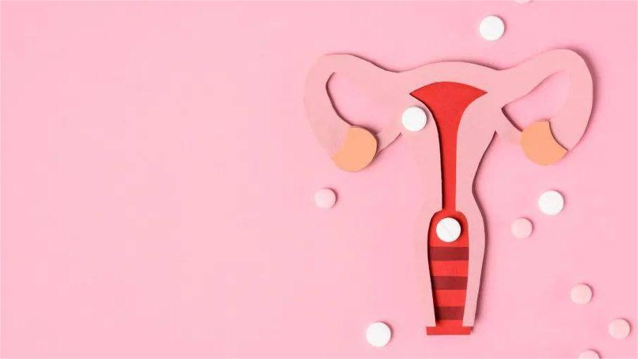 正经的女性科普,网上的正经科普都是真的吗