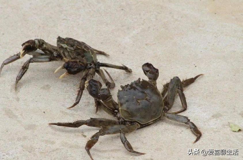 建议子女：若不能常伴左右，中秋带上6款礼物回家，寓意吉祥团圆