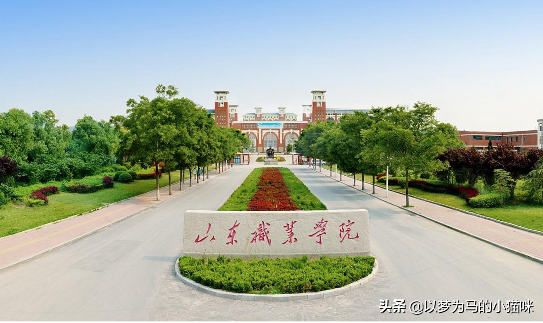 全国最有前景的专科院校,五大优势专科专业排名