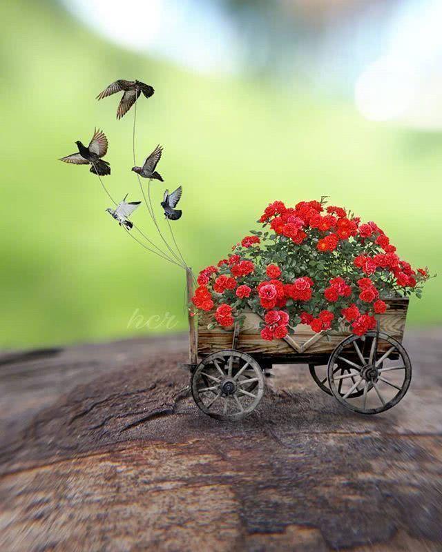 孤独寂寞伤感经典句子朋友圈,一个女人在他乡孤独伤感的句子